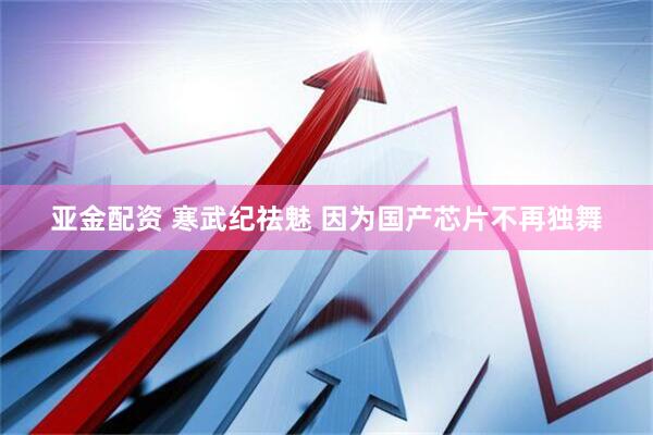 亚金配资 寒武纪祛魅 因为国产芯片不再独舞