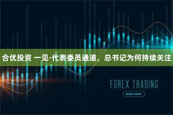 合优投资 一见·代表委员通道，总书记为何持续关注