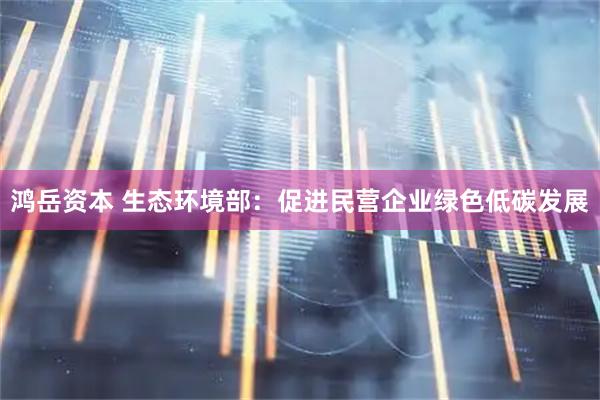 鸿岳资本 生态环境部：促进民营企业绿色低碳发展