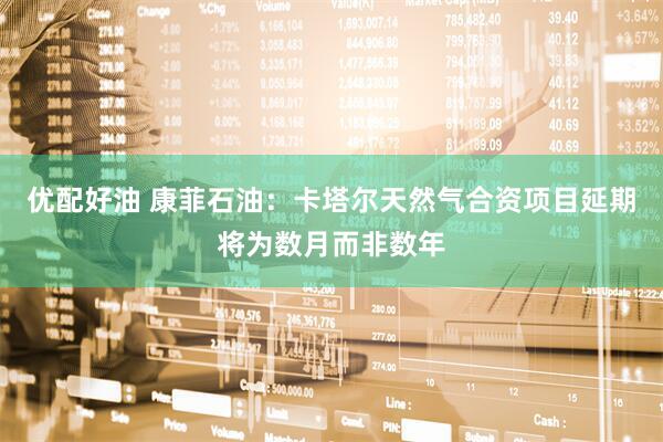 优配好油 康菲石油：卡塔尔天然气合资项目延期将为数月而非数年