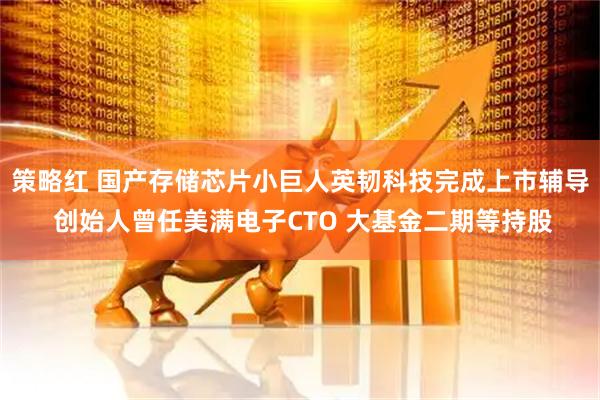 策略红 国产存储芯片小巨人英韧科技完成上市辅导 创始人曾任美满电子CTO 大基金二期等持股