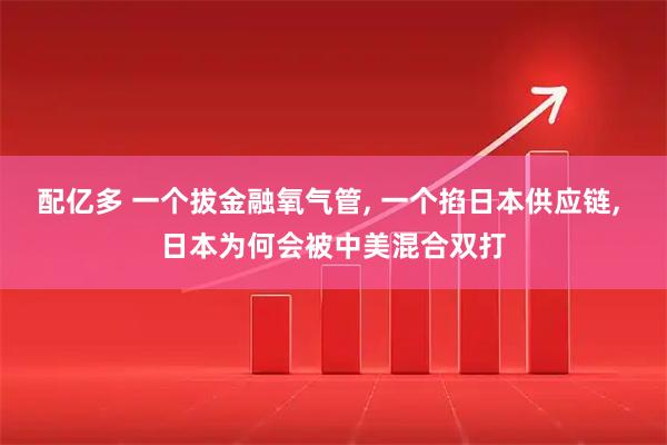 配亿多 一个拔金融氧气管, 一个掐日本供应链, 日本为何会被中美混合双打
